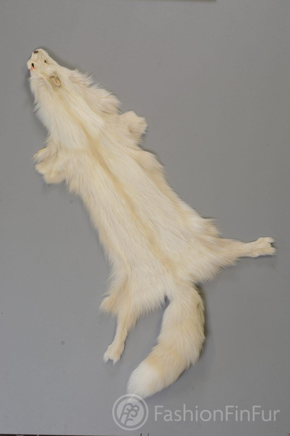 No Tail Professionaly Tanned Thick silky SLFXNT Details about   Silver Fox Pelts 