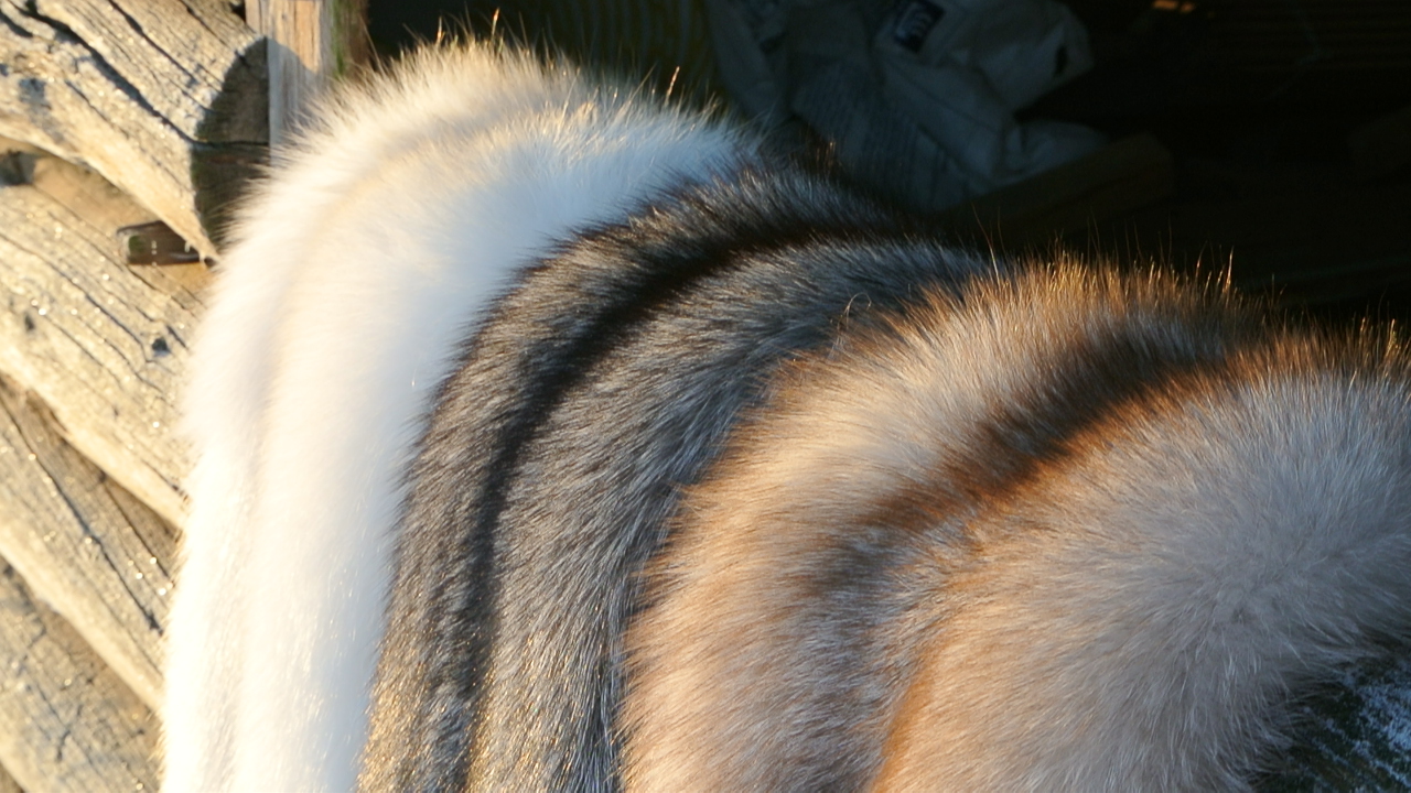 1DE5526C-8E37-4EF7-B9AC-AAF2537FB9D7