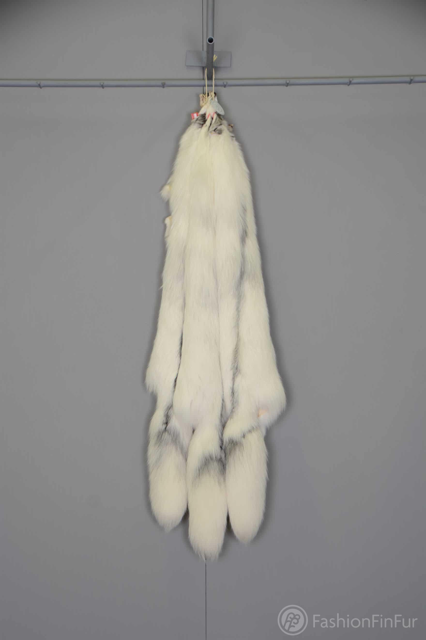 3pcs Arctic Marble Fox LOT | FashionFinFur