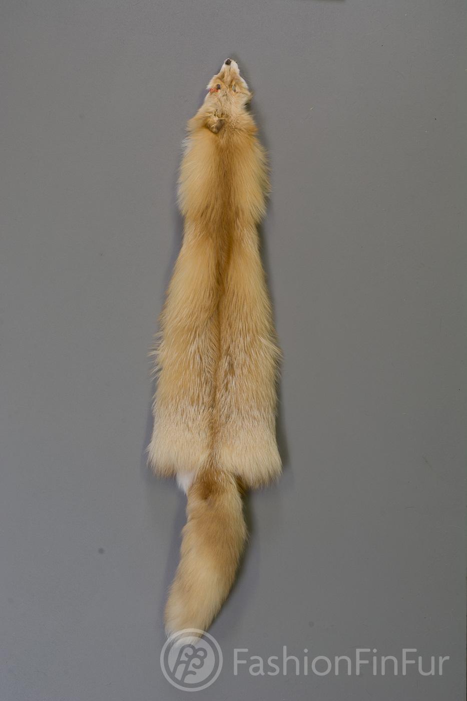 Red Fox Fur Pelt / Tanned Skins