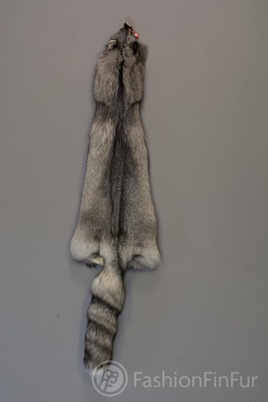 Blue Frost Fox | FashionFinFur