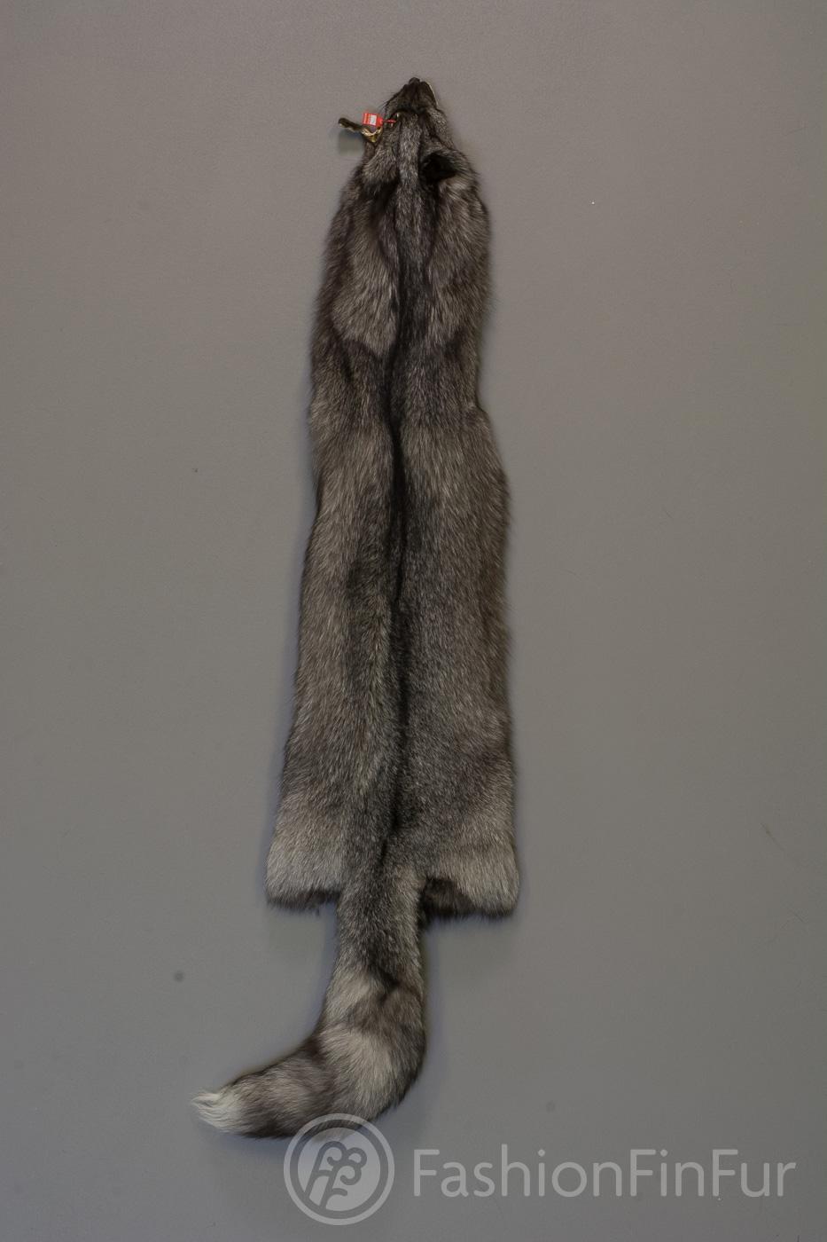 Blue Frost Fox | FashionFinFur