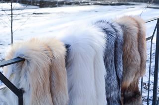 Inside Finland's cruel fox fur farms, the shame of the luxury fashion  industry